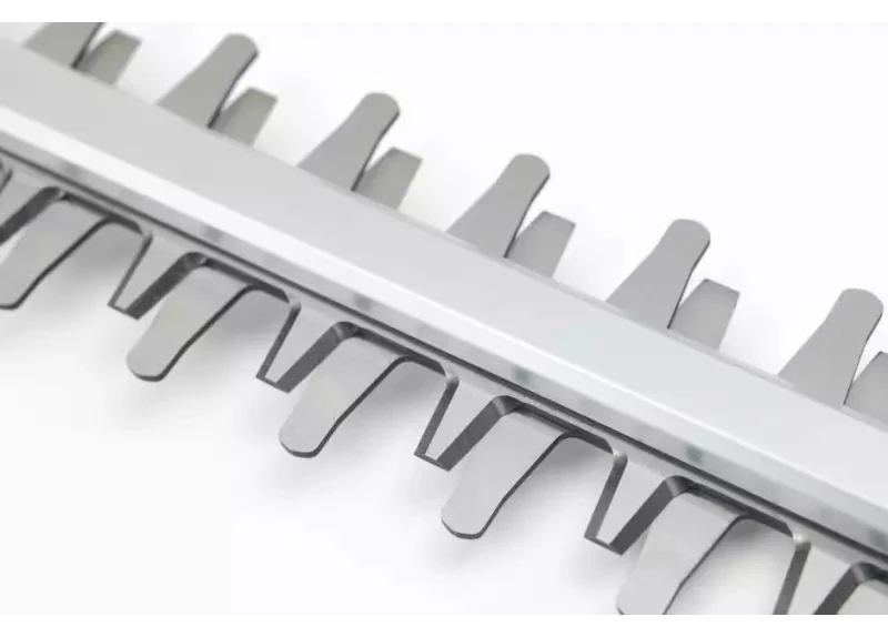 A8ba0dcf 0307 429D 9C21 58Ce45750c26