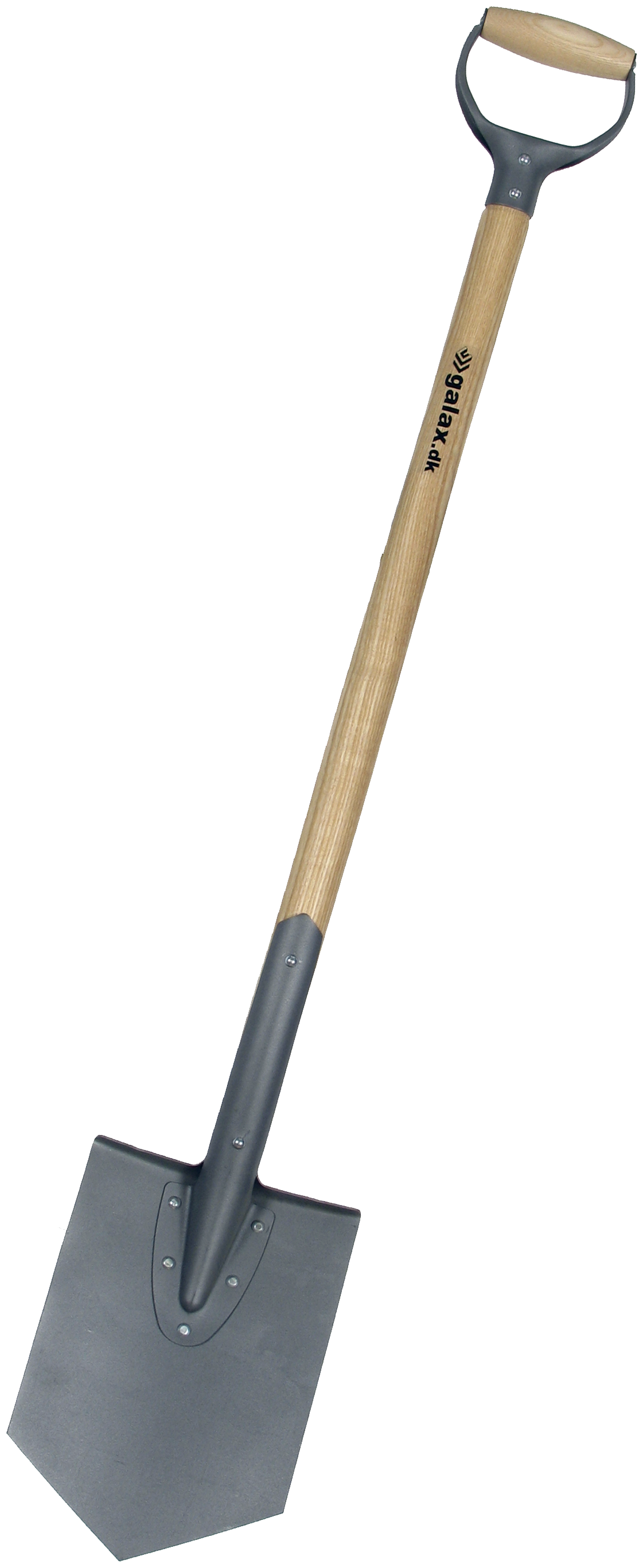 Galax spidsspade