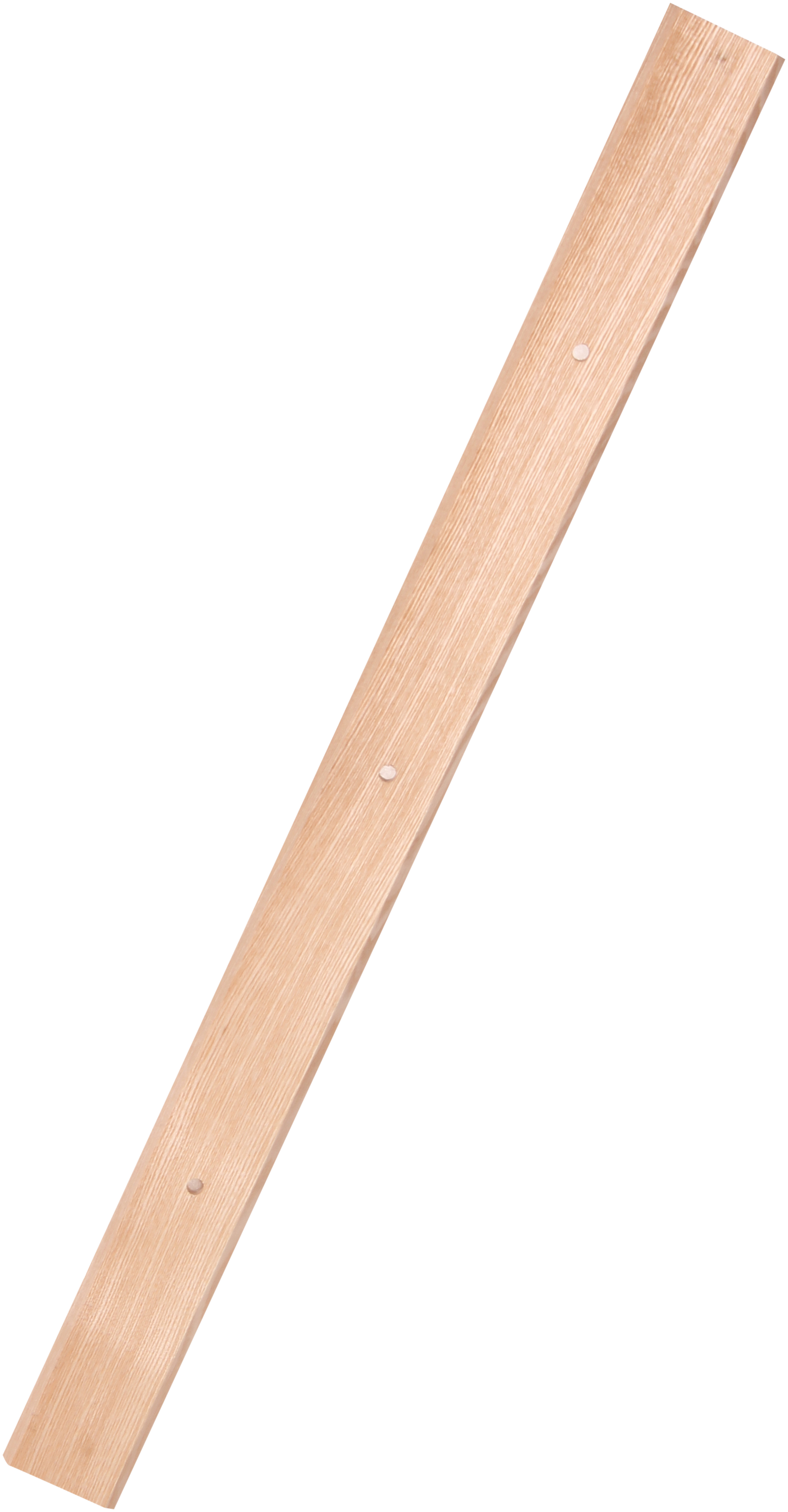 Galax asketræs blad t/ragere 80 cm